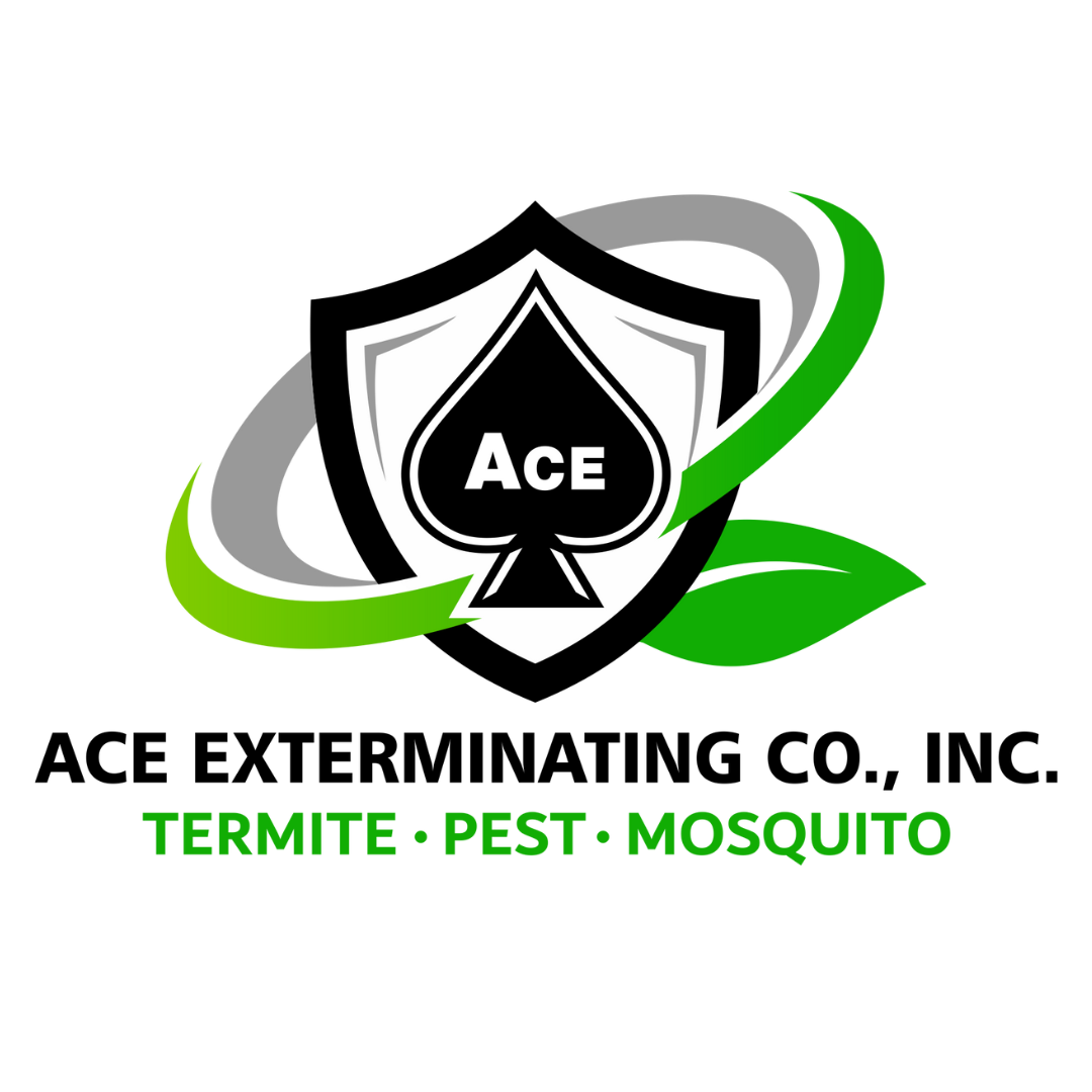 Ace