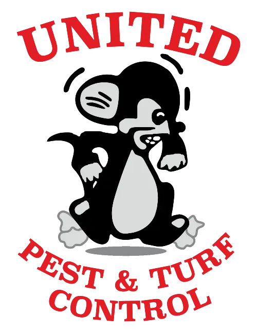 United-logo