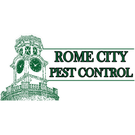 Rome City Logo